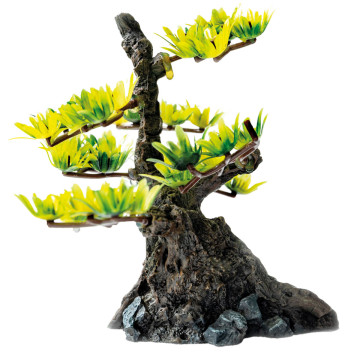 Superfish  deco bonsai xs