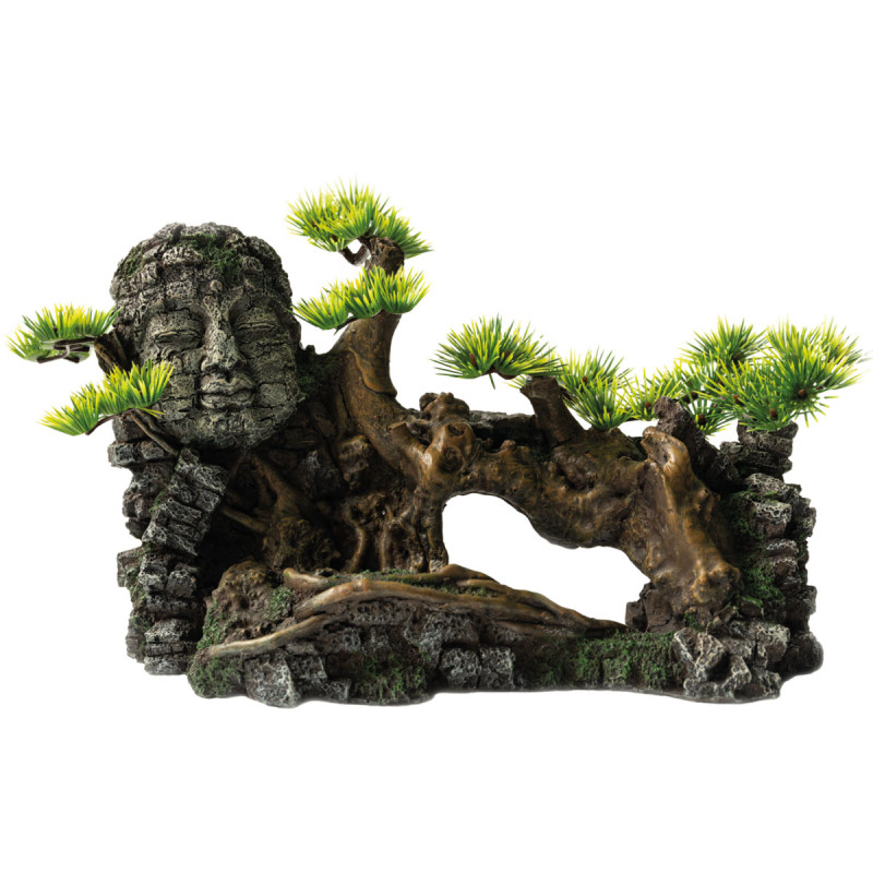 Superfish deco bonsai xl 44,00 €