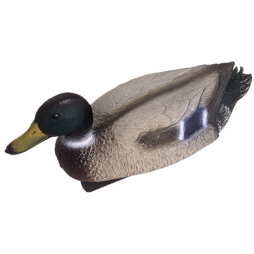 Oase canard Colvert mâle