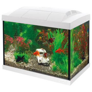 Superfish  aquarium start 20 goldfish kit blanc