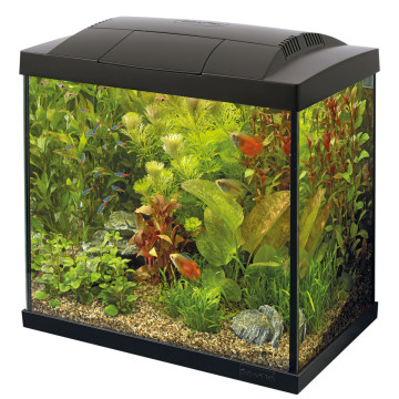 Superfish  aquarium start 30 tropical kit noir