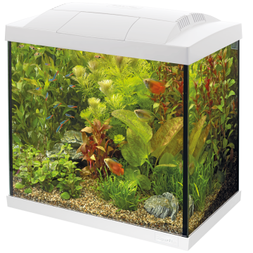 Superfish  aquarium start 30 tropical kit blanc