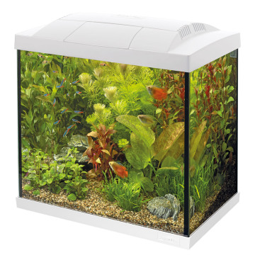 Superfish aquarium start 50 tropical kit blanc 