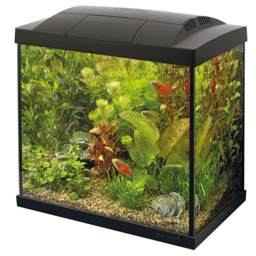 Superfish  aquarium start 50 tropical kit noir