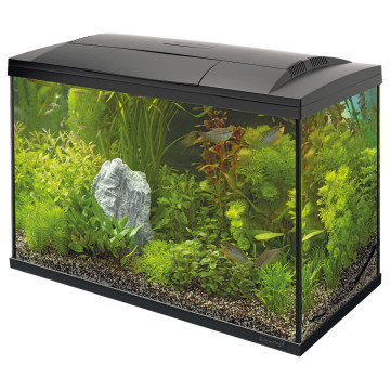 Superfish aquarium start 100 tropical kit noir 