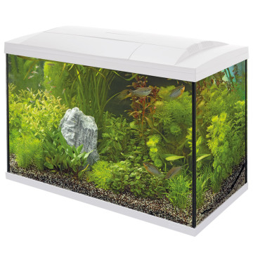 Superfish aquarium start 100 tropical kit blanc 