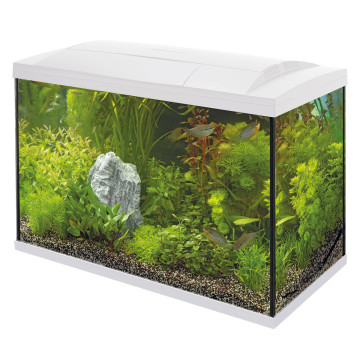 Superfish  aquarium start 150 tropical kit blanc