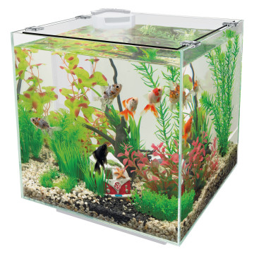 Superfish  aquarium qubiq 30 blanc