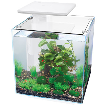 Superfish  aquarium qubiq 30 pro blanc