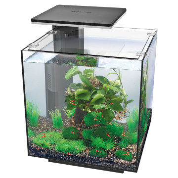 Superfish aquarium qubiq 30 Pro noir 