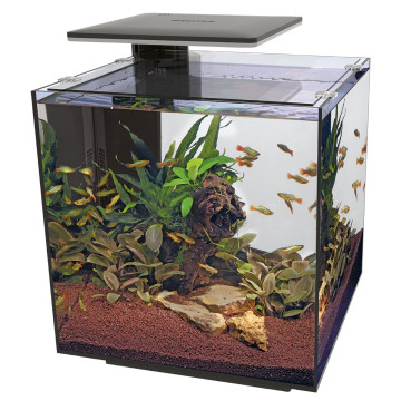 Superfish  aquarium qubiq 60 pro noir