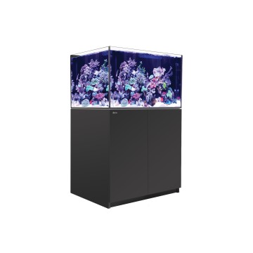 Red Sea aquarium Reefer™ 300 G2+ - Noir + bon d'achats coraux - poi...