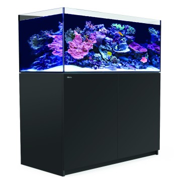 Red Sea Reefer™ 425 G2 - Noir