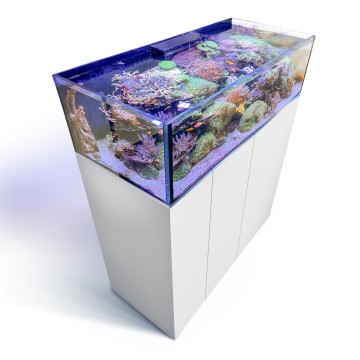 AquaMedic Armatus Lagoon 400 blanc 150 x 65 x 40 cm - 355 litres + ...