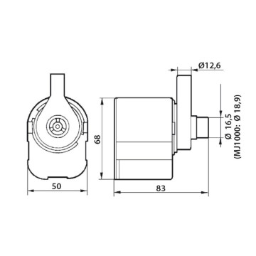 NEWA Maxi 1000 pompe à eau d’un débit de 1000 l/h