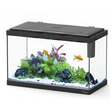 Aquatlantis aquarium Explorer Vienna adaptés aux enfants 42 litres ...