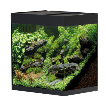 Oase aquarium StyleLine 85