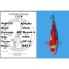 Koï Japon Kohaku Nisai éleveur Dainichi B.L. taille +-45 cm 1,295.00