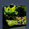 Dennerle NanoCube® Basic 60 litres 38 x 38 x 43cm