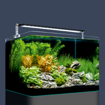 Dennerle Nano Scaper's Tank 35 litres 40x32x28cm 69,41 €