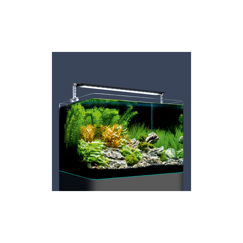 Dennerle Nano Scaper’s Tank Basic 35 litres 40x32x28cm 153,71 €