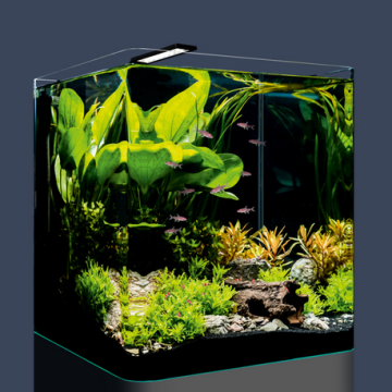 Dennerle NanoCube®  60 litres 38 x 38 x 43cm