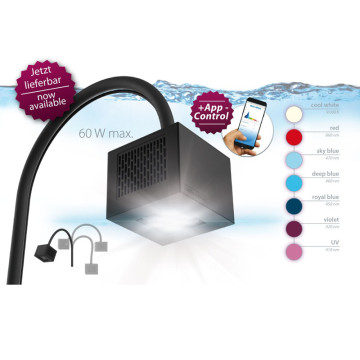 AquaMedic Qube 60