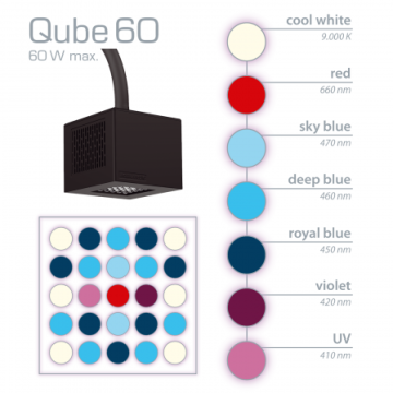 AquaMedic Qube 60