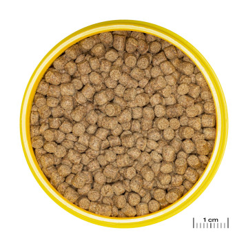 JBL PRONOVO KILLIFISH GRANO S Aliment de base en granulés, taille S, pour killies de 3 à 10 cm 100ml