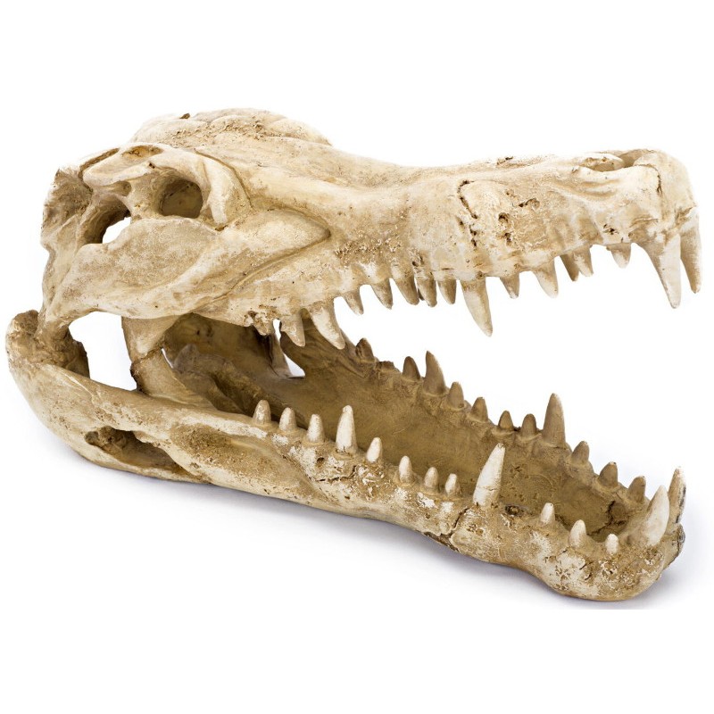 Crane crocodile 22*14*10.5CM 22,00 €