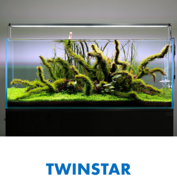 TWINSTAR S-line 1200 (120cm)  429,90 €