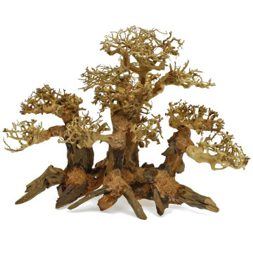 Artisanat en bois flotté - Forest Bonsai M - 40 X 30cm