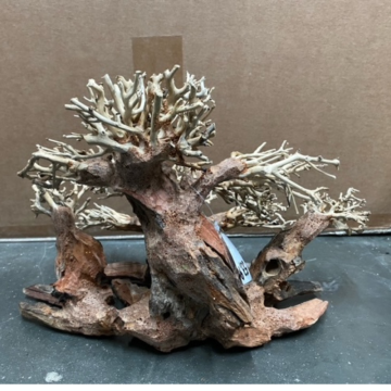 Artisanat en bois flotté - Forest Bonsai M (40x20x25cm) 