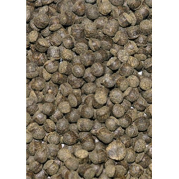 Ocean Nutrition™ Cichlid Omni Pellet 100gr Medium 