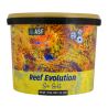 Reef Evolution Sea Salt 22Kg