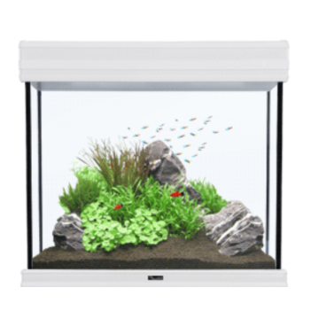 Aquatlantis Aquarium Fusion Pro (120x40x60cm) éclairage LED 288 litres complet avec filtre et meuble.