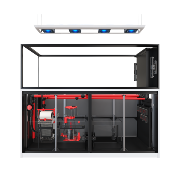 RedSea Reefer Max Peninsula S-950 G2+ Blanc 