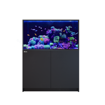 Reefer™ S 550 G2+ - Noir