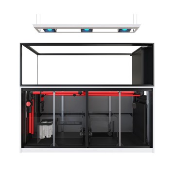 Reefer™ Peninsula S 950 G2+ Deluxe - Blanc (3 RL 160S + rampe suspe...