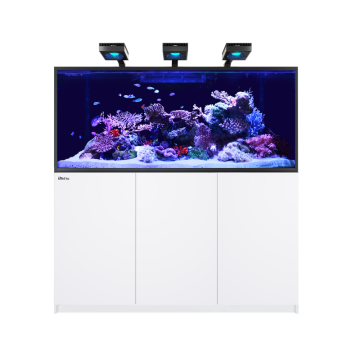 Reefer MAX S 700 G2+ - Blanc