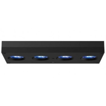 Hydra 64HD rampe LED noir 749,00 €