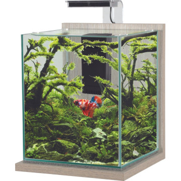 Aquarium Wiha Bambou Beige