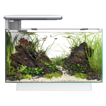 Superfish aquarium quadro 40 pro