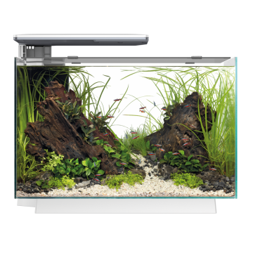 Superfish aquarium quadro 80 pro