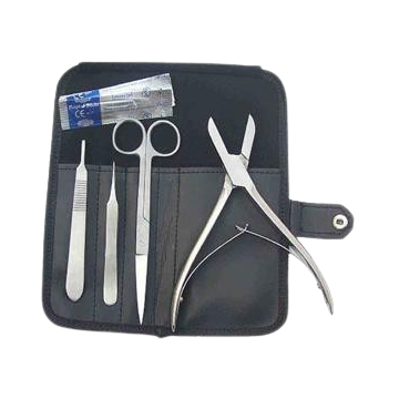 Kit Bouturage Coraux 4pcs