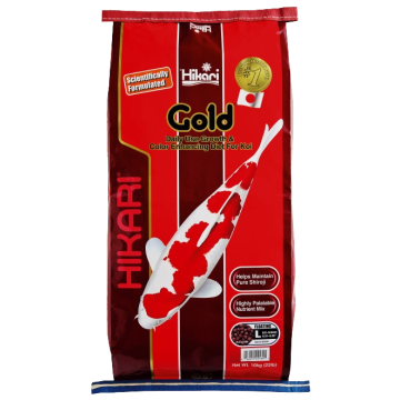 Hikari Gold 10kg (grand) pellet