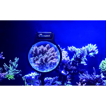 Maxspect Pastel Reef Magnifier L