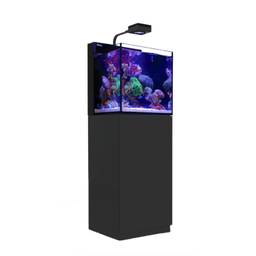 RedSea Max Nano Cube G2 Noir (Aquarium + Meuble)