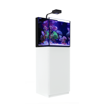 RedSea Max Nano Cube G2 Blanc (Aquarium + Meuble)