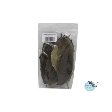 Nature products Guave leaves 15x